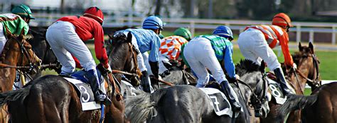 Betting Tips for Sport & Racing .